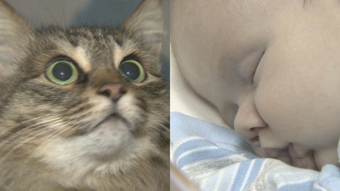 Homeless cat saves baby