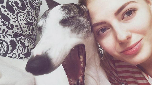Click to enlarge dogs facial expressions
