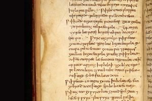 Click to enlarge anglo saxon remedy