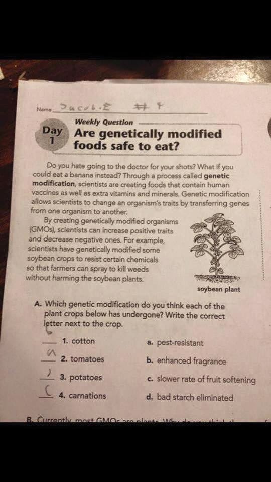 GMO homework