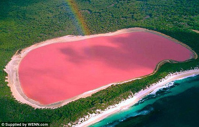 pink lake1