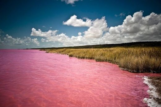 pink lake 2
