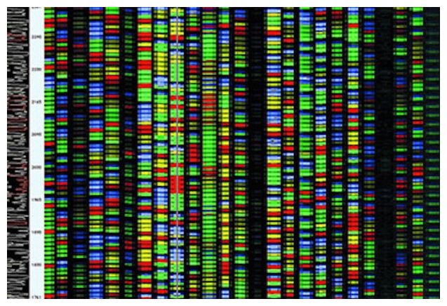 dna sequencing 4peaks dna sequencing 4peaks