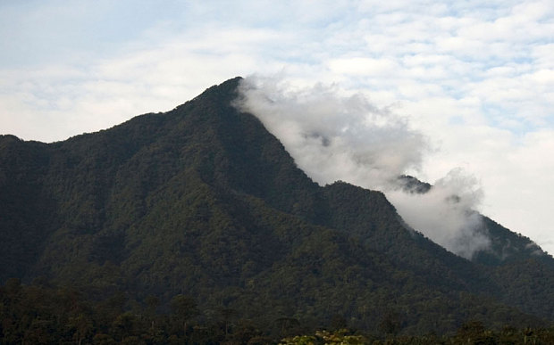 Mt. Cameroon