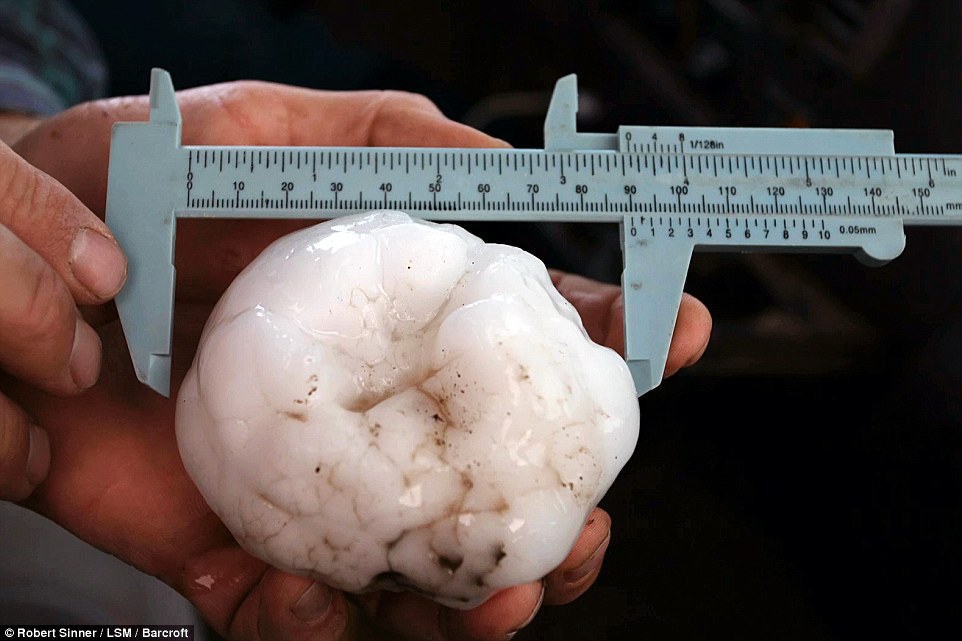 giant hailstone in kansas