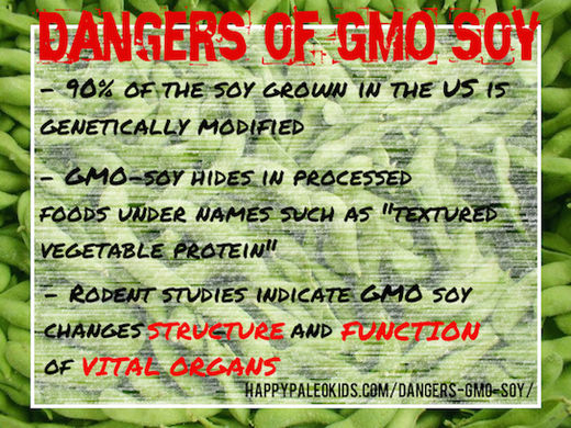 gmo soy, soybeans