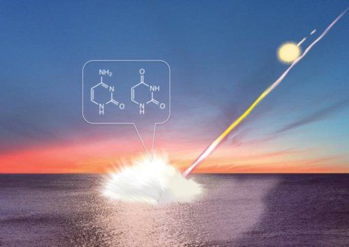 nucleobases, meteorite impacts