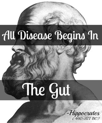 Hippocrates All disease begins in the gut