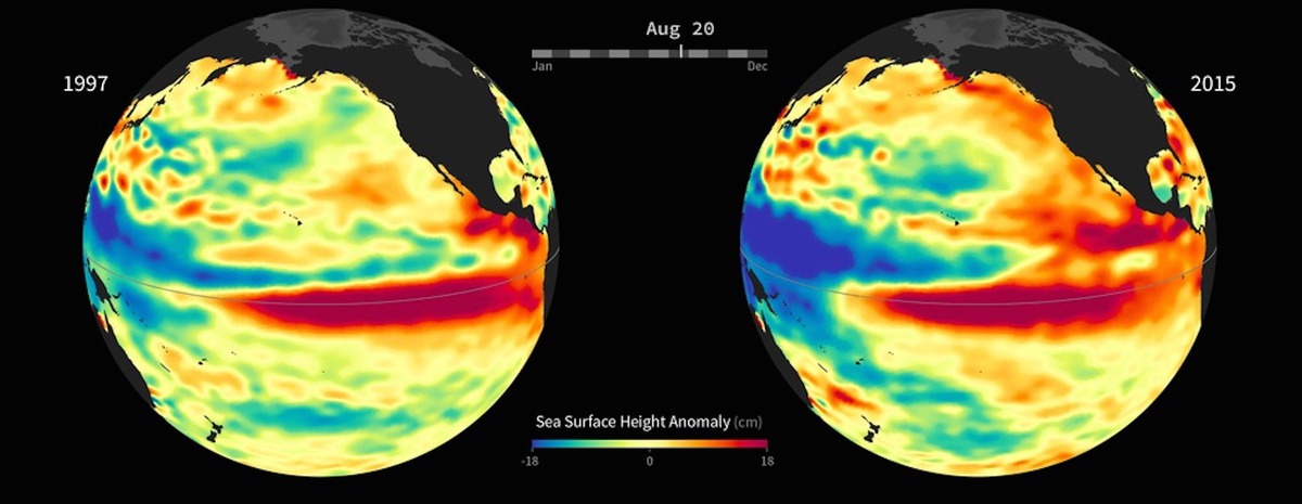Pacific sea surface temperature anomalies 1997 vs 2015