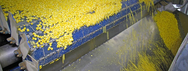 Click to enlarge Corn food processing plant