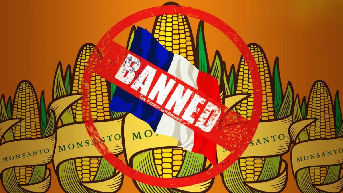GMO banned