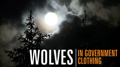 wolves in government