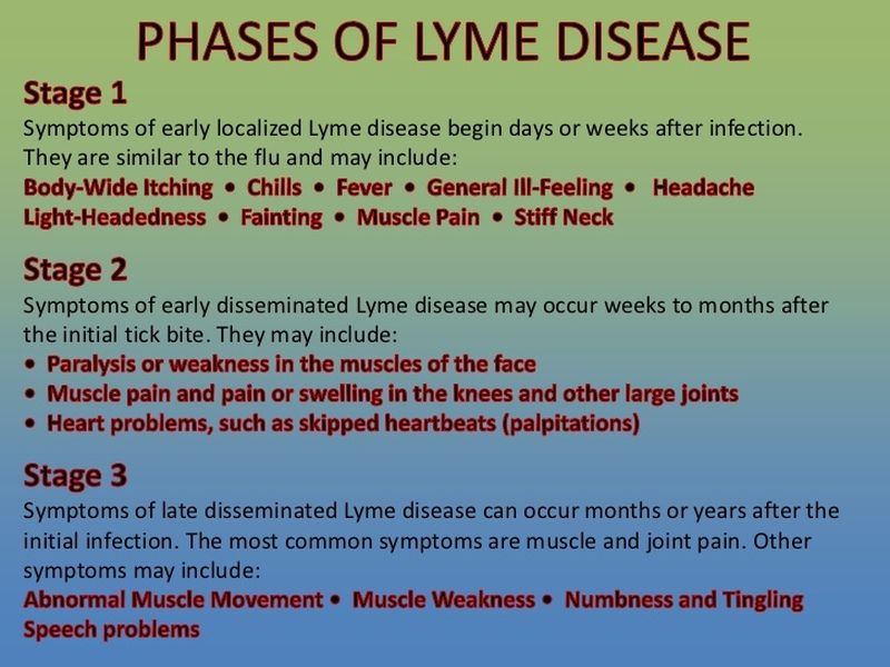 How do you contract Lyme disease?