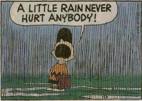 Charlie Brown in rain