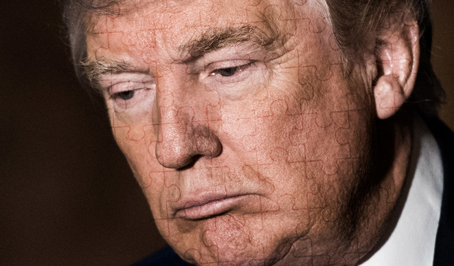 Trump puzzle