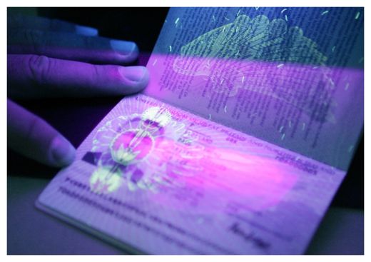 Biometric Database
