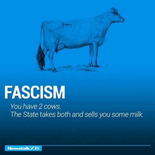 fascism cow