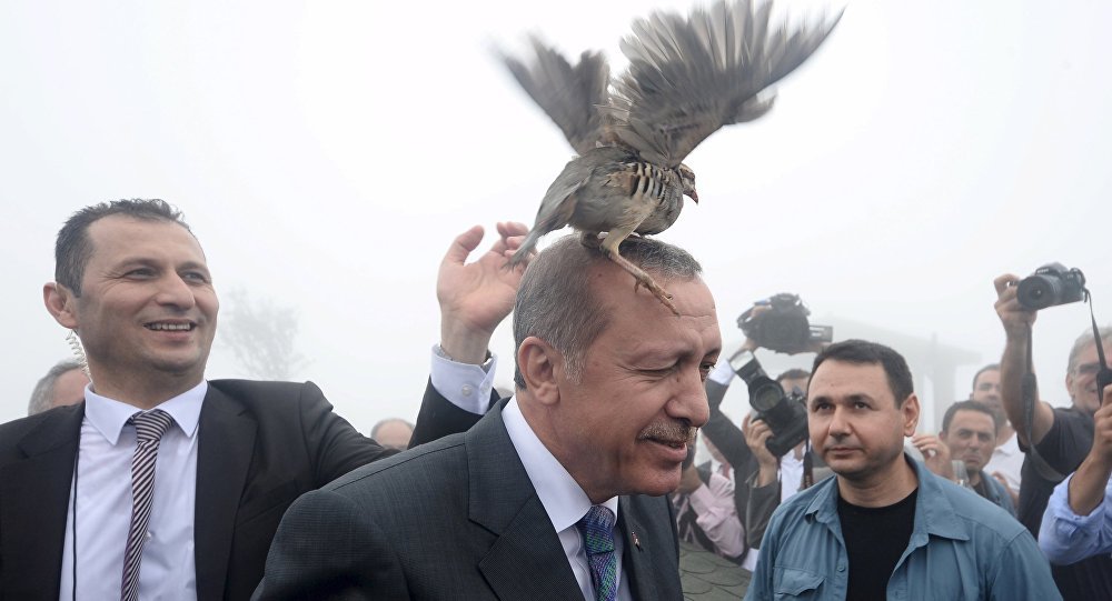 Erdogan Turkey