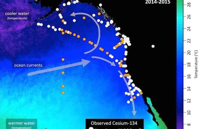 cesium map pacific ocean