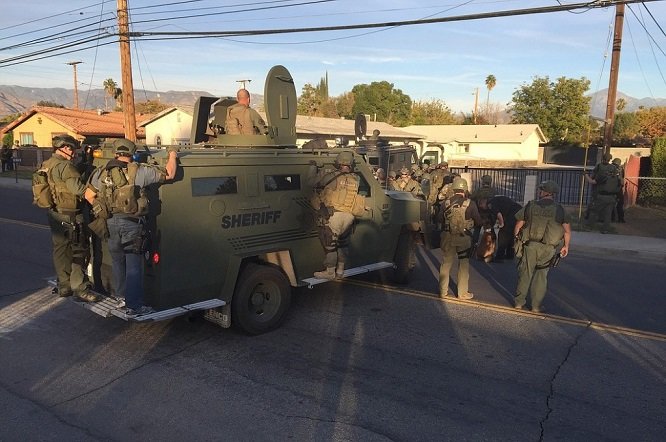 Click to enlarge Swat