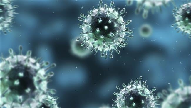 A digital rendering of the H1N1 virus