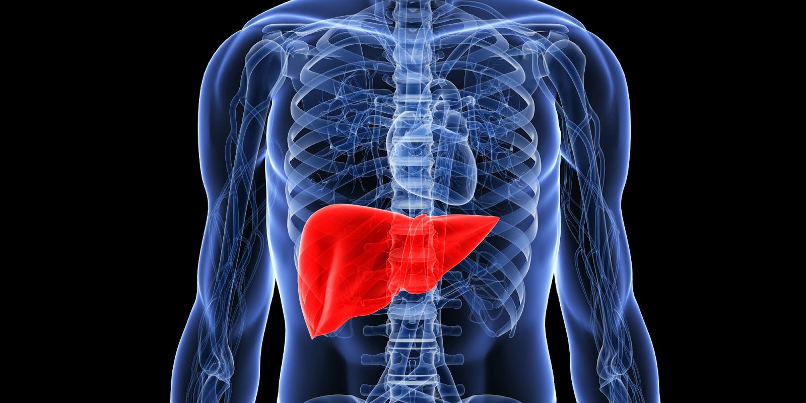 detoxification, liver