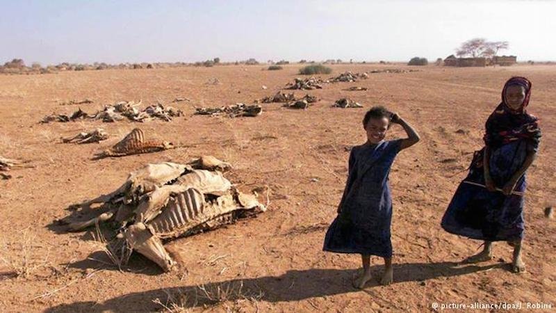 Click to enlarge ethiopia drought