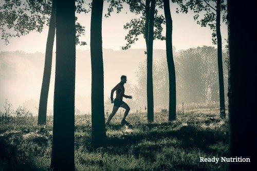 running in woods