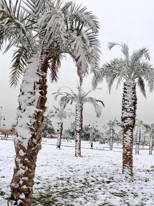 Click to enlarge Snow in Saudi Arabia