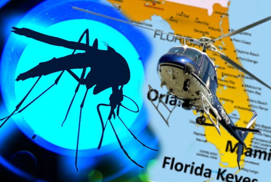 Zika GM mosquitos