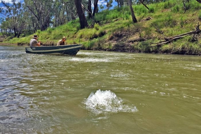 Scientists are trying to identify the cause of methane gas bubbling in the Condamine River. 