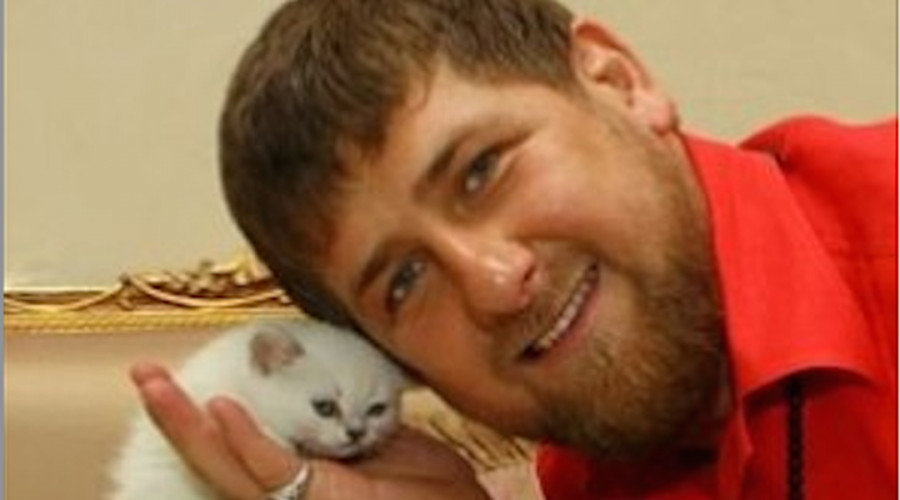 Ramzan Kadyrov instagram with kitten