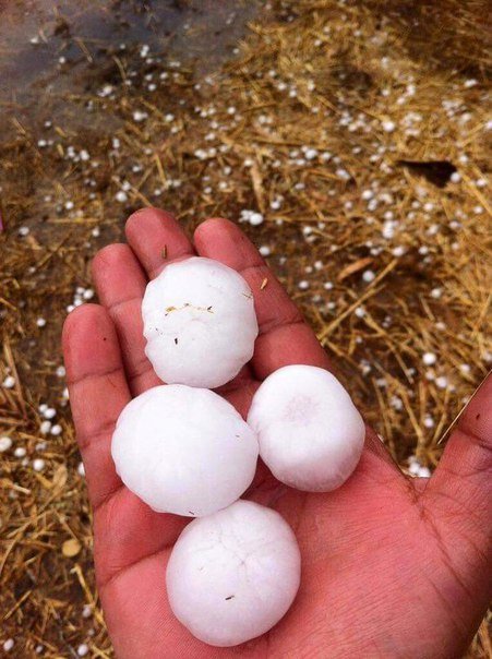 Large hailstones