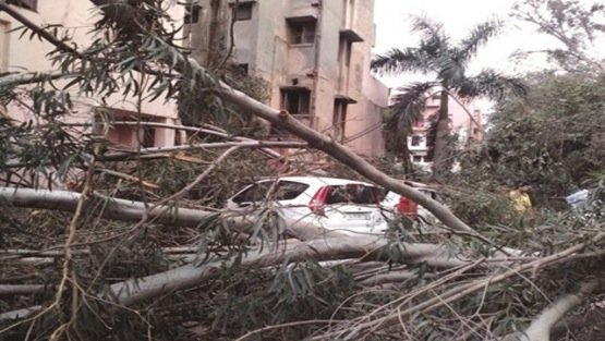 New Delhi storm damage