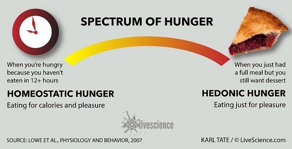 Spectrum of hunger