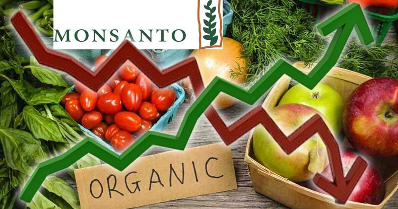 monsanto vs organic