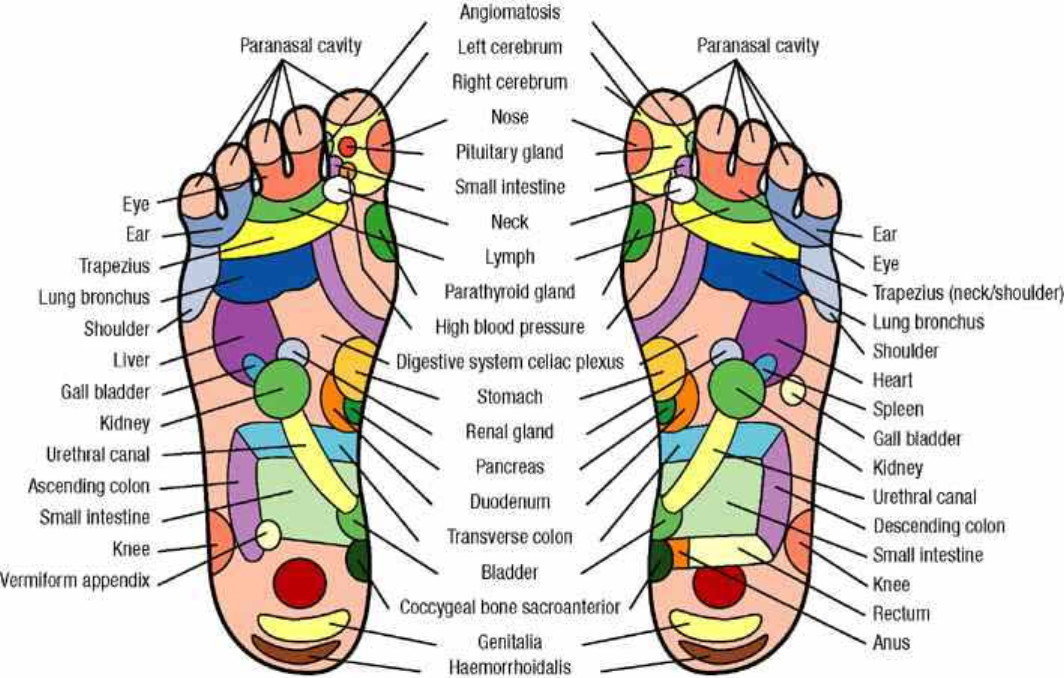 Foot Benefits Chart