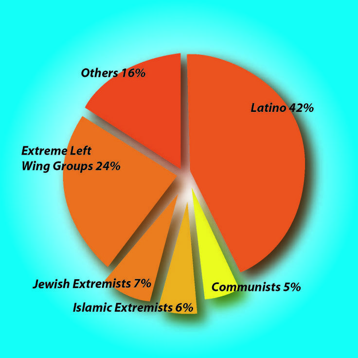 terrorism pie chart