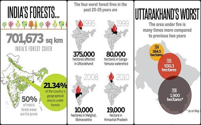 Statistics of forest fires in India. 