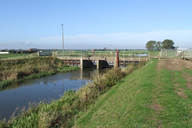 Barmston Drain in Hull, where the mysterious beast was first spotted 