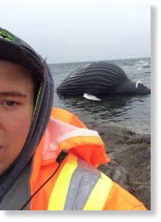 David Mitchelmore snaps a whale selfie with the dead humpback near Cook's Harbour. 
