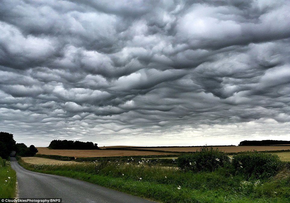 Undulatus asperatus clouds over Dorset, UK