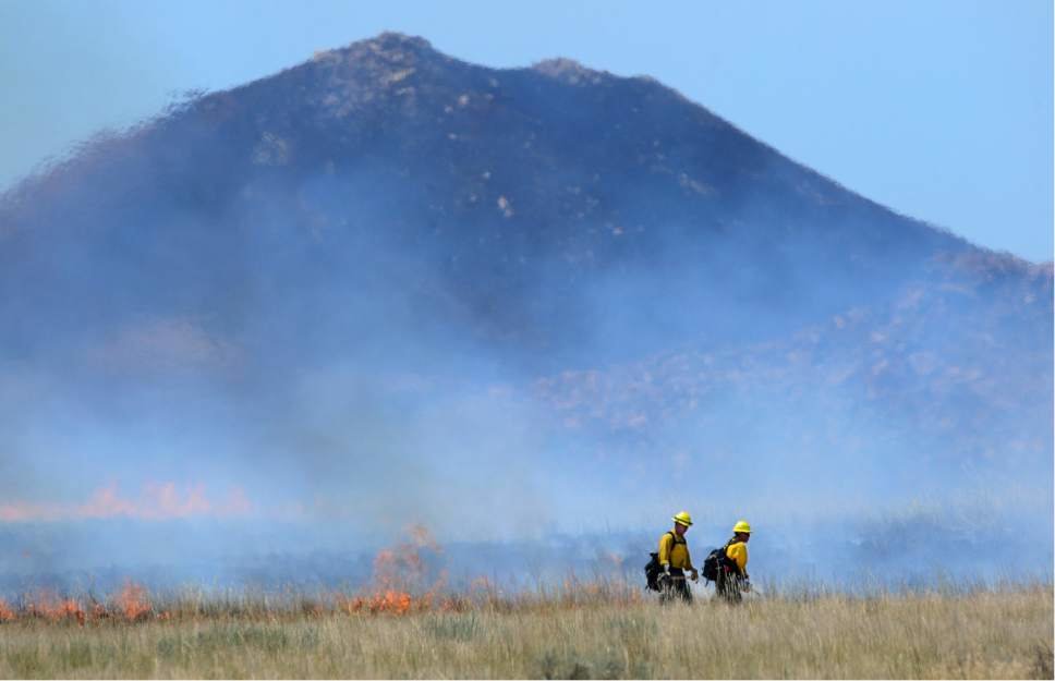 Firefighters work to set a back fire as favorable winds allow for the strategy on Antelope Island, Saturday, July 23, 2016.