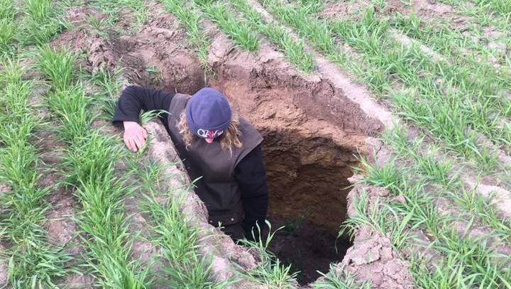 Local Max Schinckel inspects the sinkhole after driving over it in a tractor towing a spray unit. 