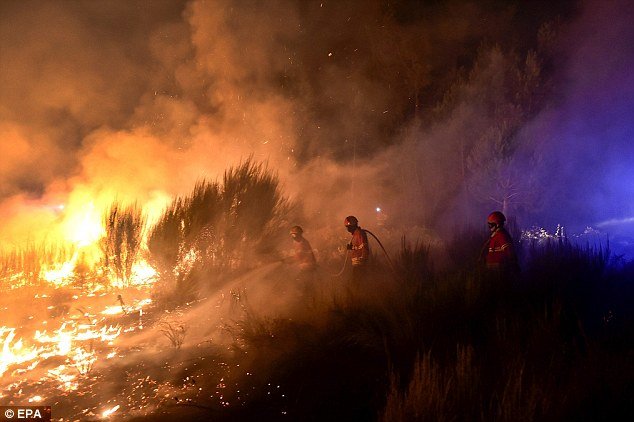 The National Civil Protection Authority classified eight wildfires in the north of the country as major blazes that were out of control