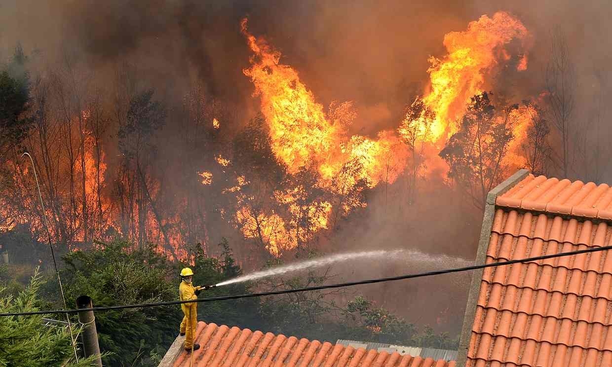 A firefighter stands on the roof of a house and tries to extinguish a wildfire at Curral dos Romeiros. 
