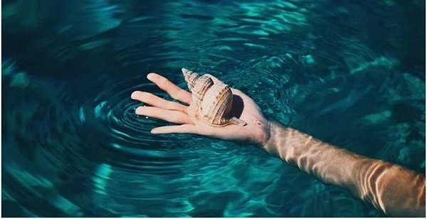 holding seashell