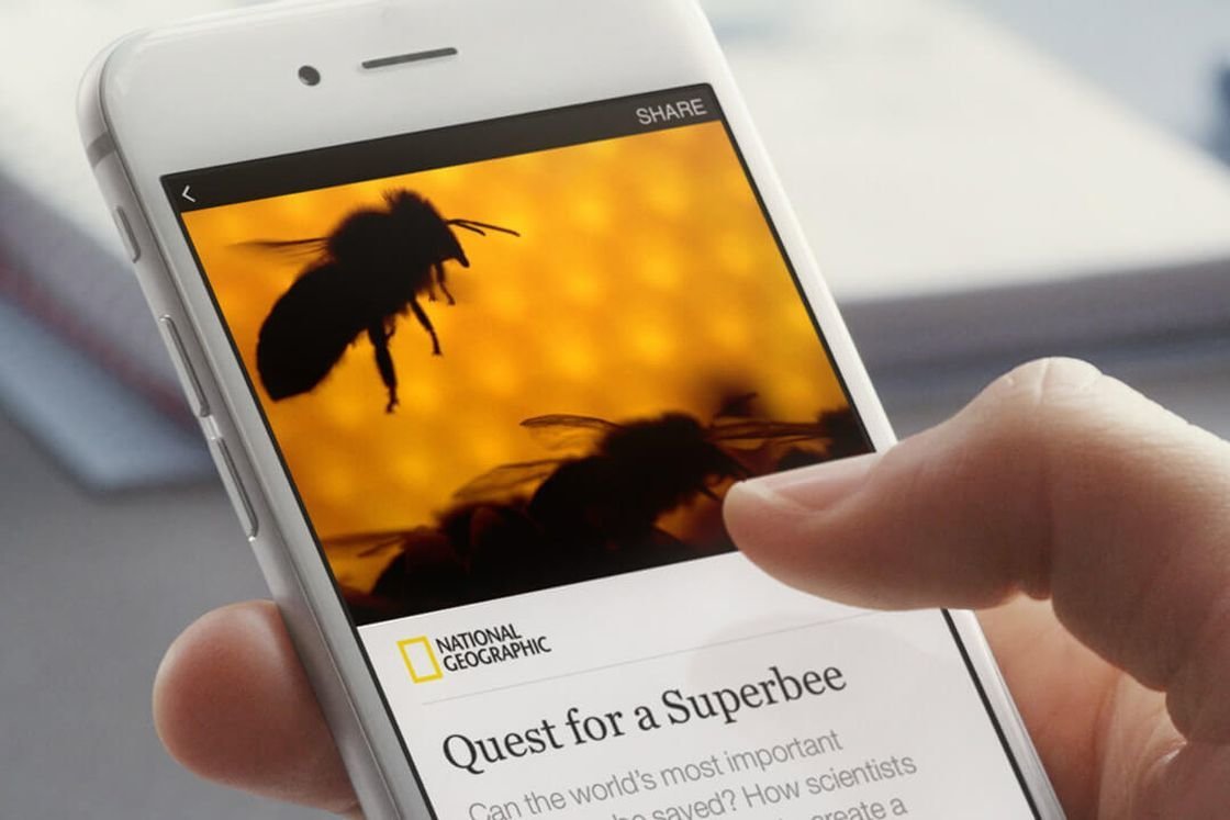 Platforms like Facebook's Instant Articles and Google AMP will discourage small independent web publishers
