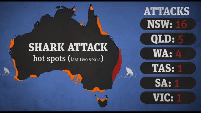 Over the past few years Northern NSW has been the location of the majority of shark attacks.