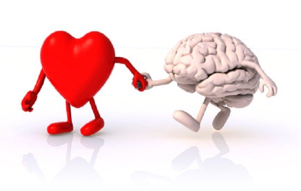 heart brain emotional intelligence